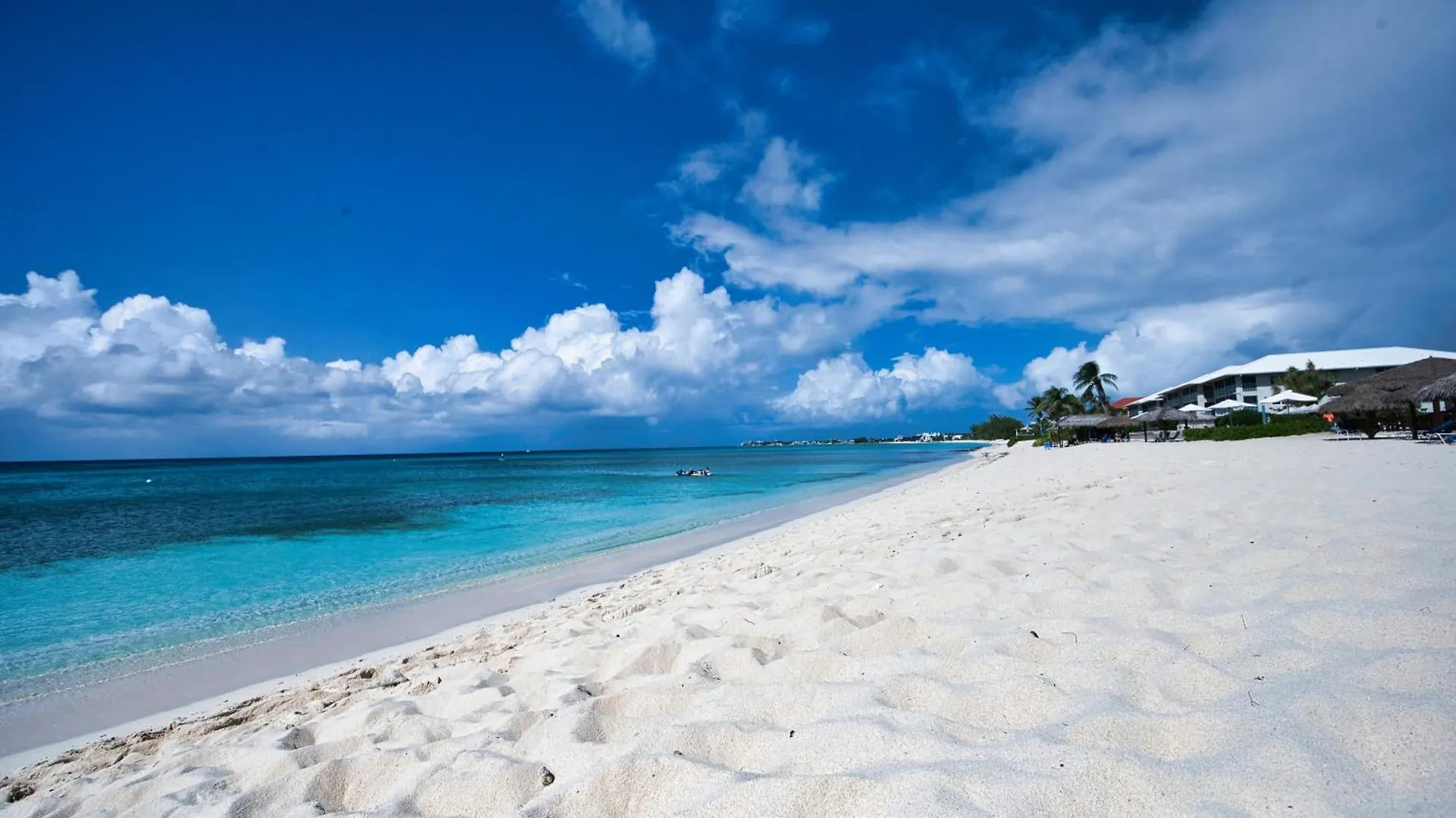 Beach Bliss By 7M Beach West Bay Apartment